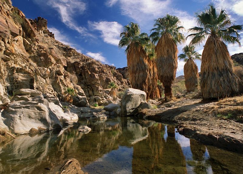 Indian Canyons, Palm Springs