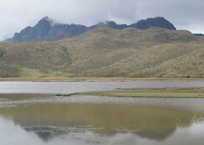 Cotopaxi National Park