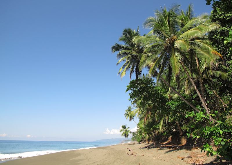 Beach at El Remanso Rainforest Wildlife Lodge
