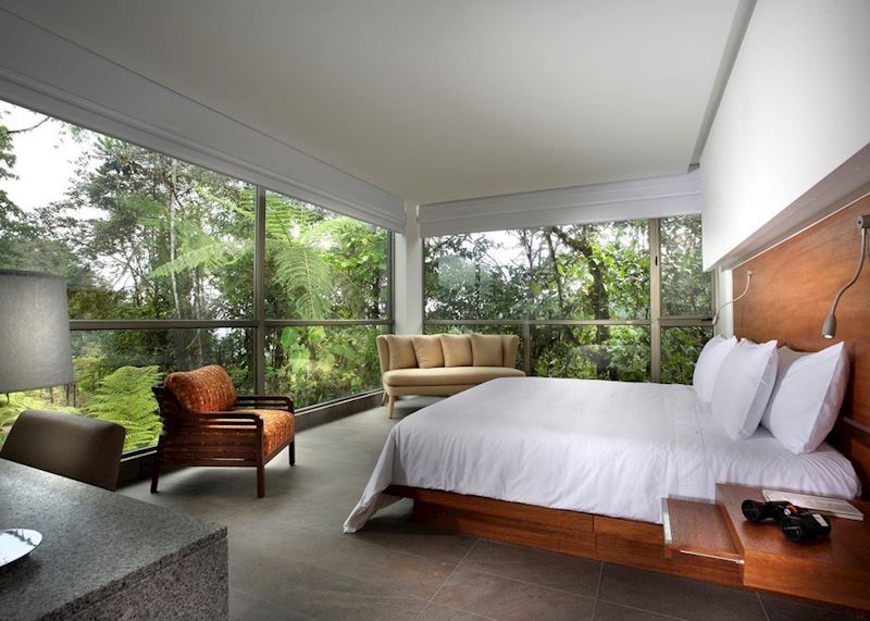 Yaku Suite, Mashpi Lodge