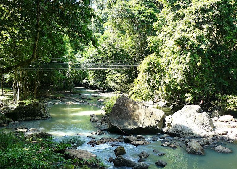 Tabin Wildlife Reserve, Malaysian Borneo