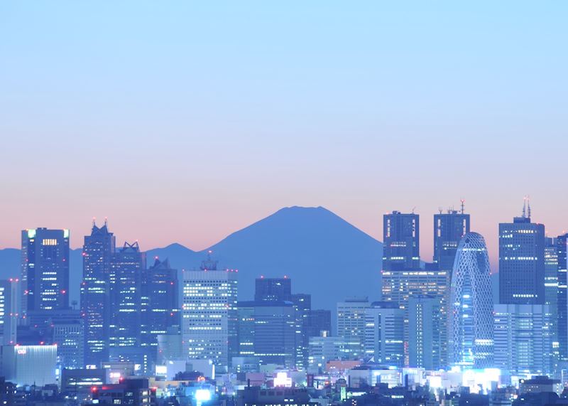 Tokyo and Mt Fuji