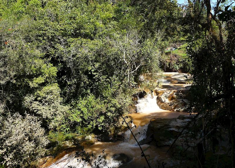 Cameron Highlands, Malaysia