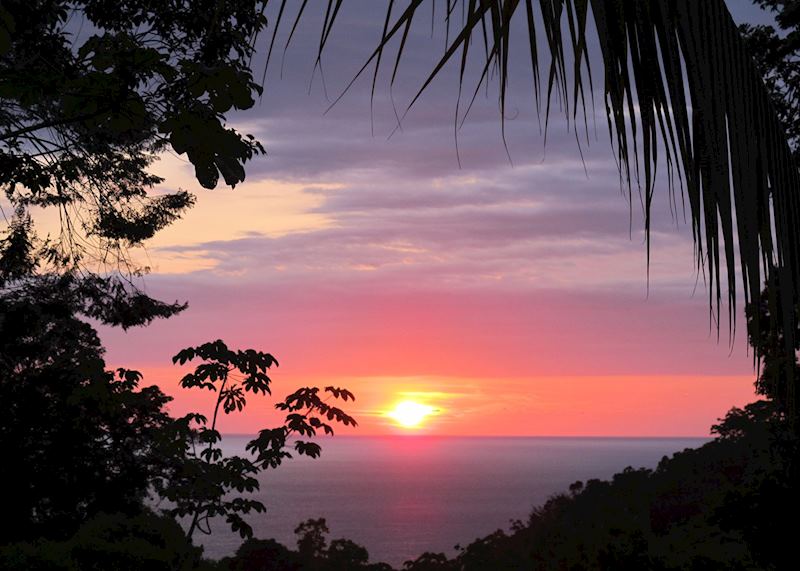 El Remanso Rainforest Wildlife Lodge, Costa Rica