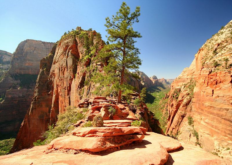 Angels Landing and Zion Canyon