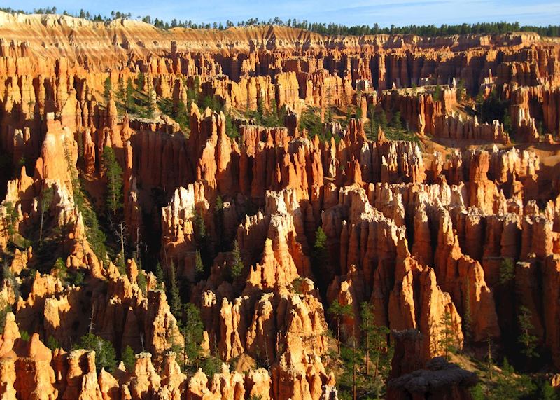 Hoodoos at Sunrise, Bryce Point, Bryce Canyon National Park