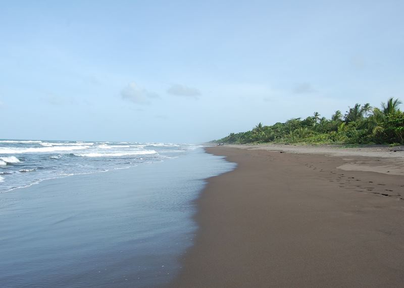 Tortuguero National Park, Costa Rica