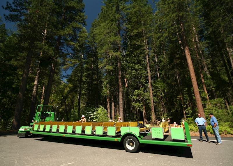 Yosemite Valley Floor Tour