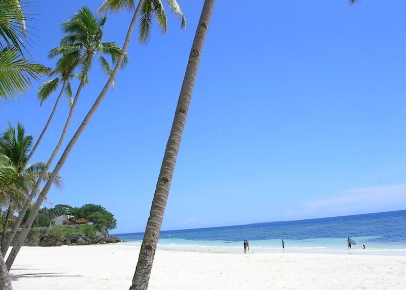 Alona Kew, Bohol