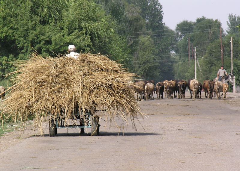 Local farmers, Almaty