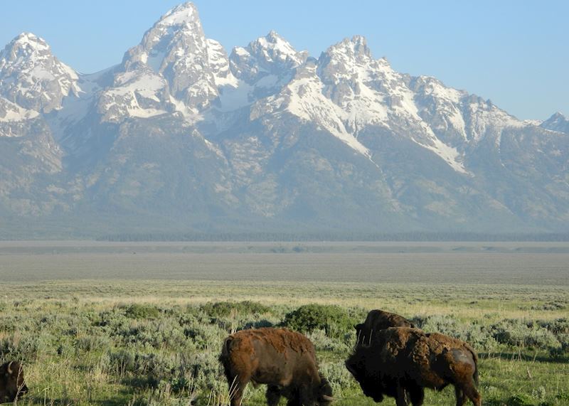 Jackson - Grand Teton National Park, USA