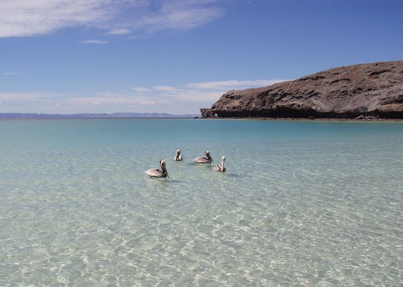 Islands close to La Paz, Baja California