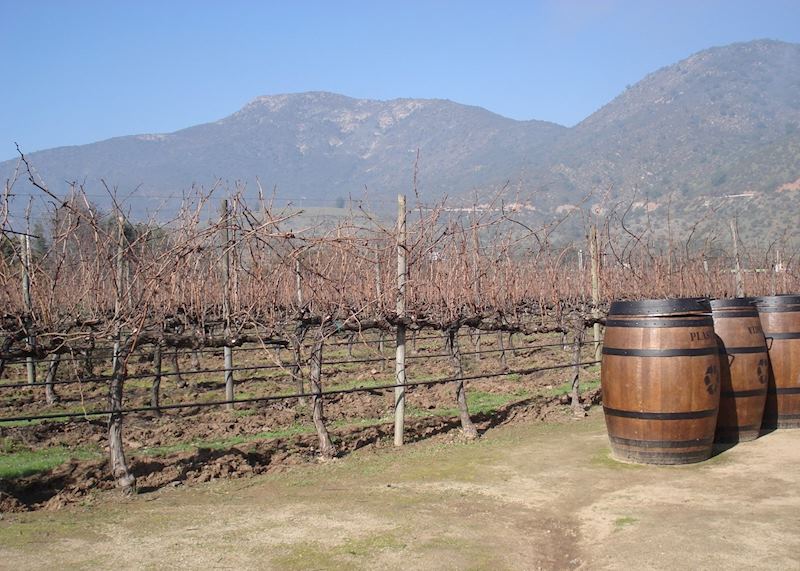 Casablanca Valley, Chile