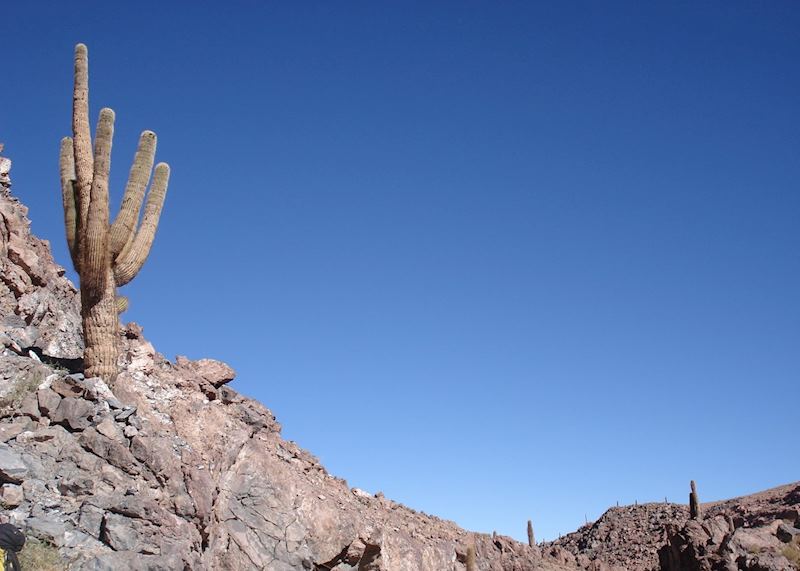 Atacama excursions