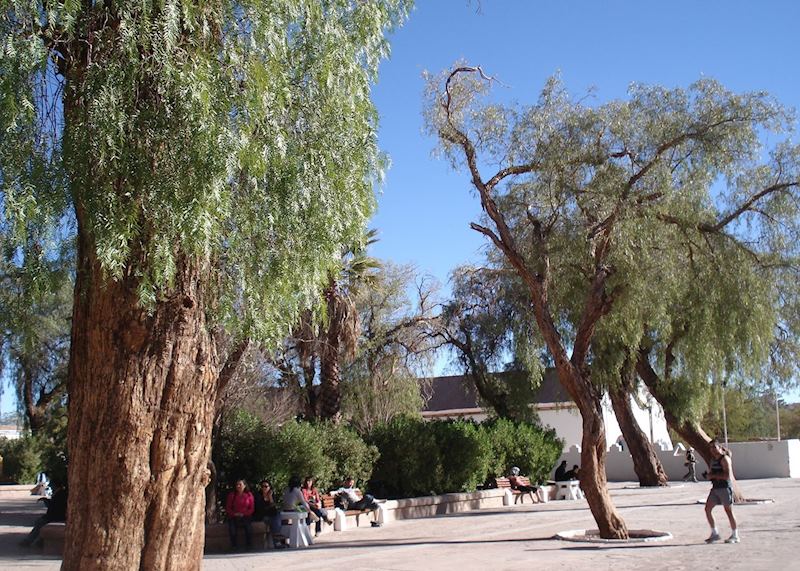 San Pedro de Atacama