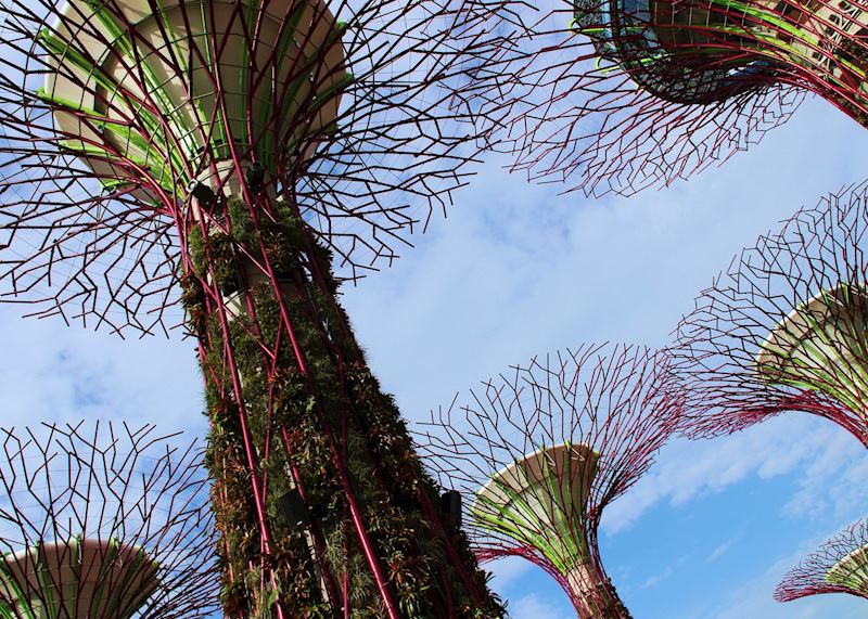 Gardens by the Bay, Singapore