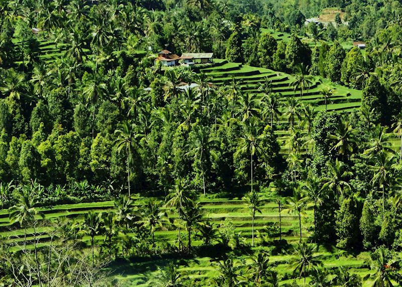 Munduk, Indonesia