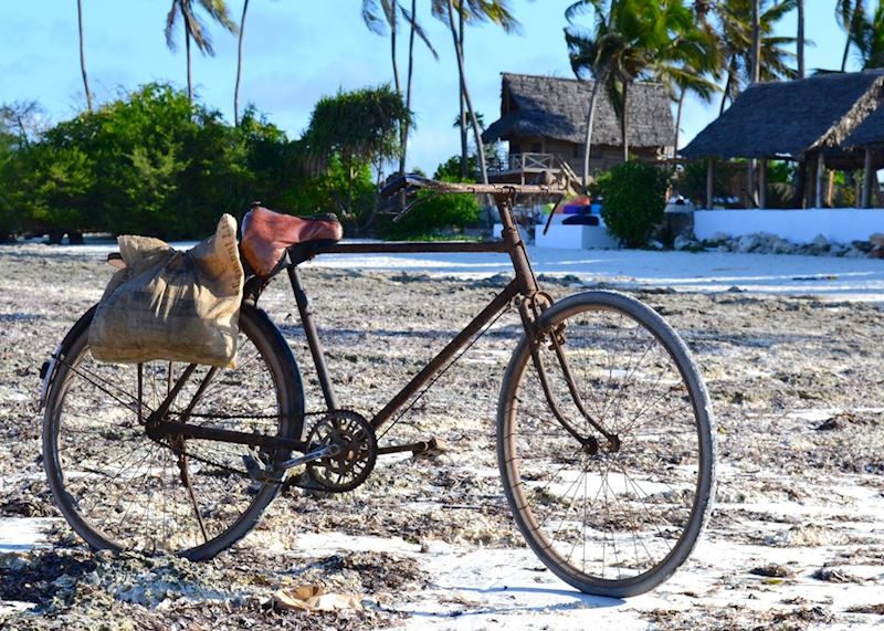 Fisherman's land transport, Zanzibar