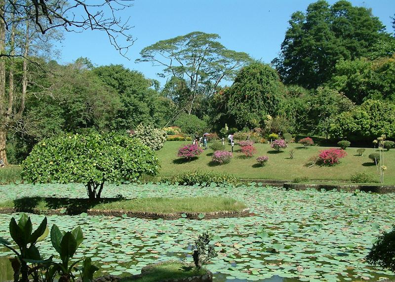 Botanical Gardens, Kandy