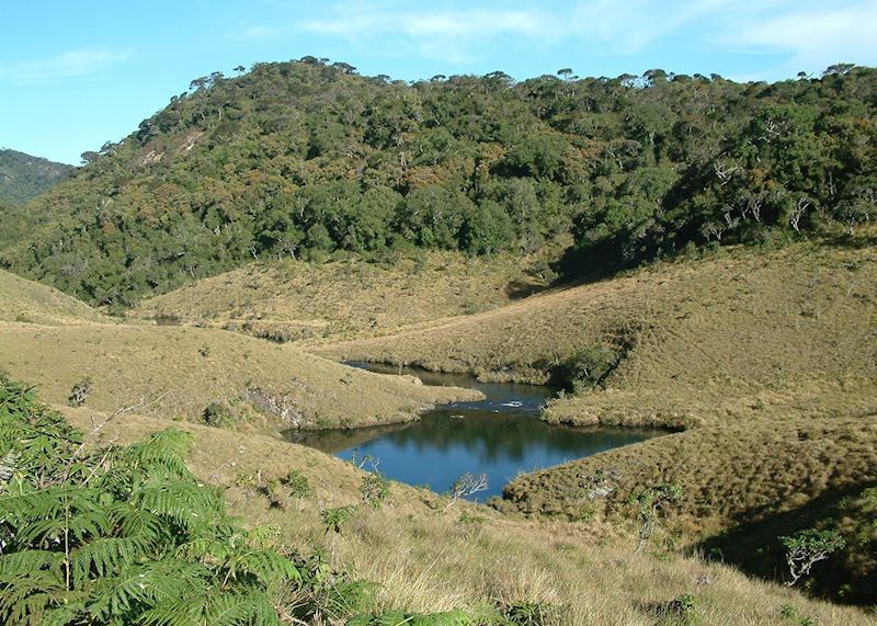 Horton Plains