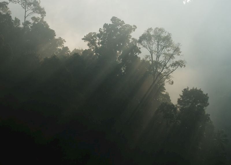 Khao Sok National Park, Thailand