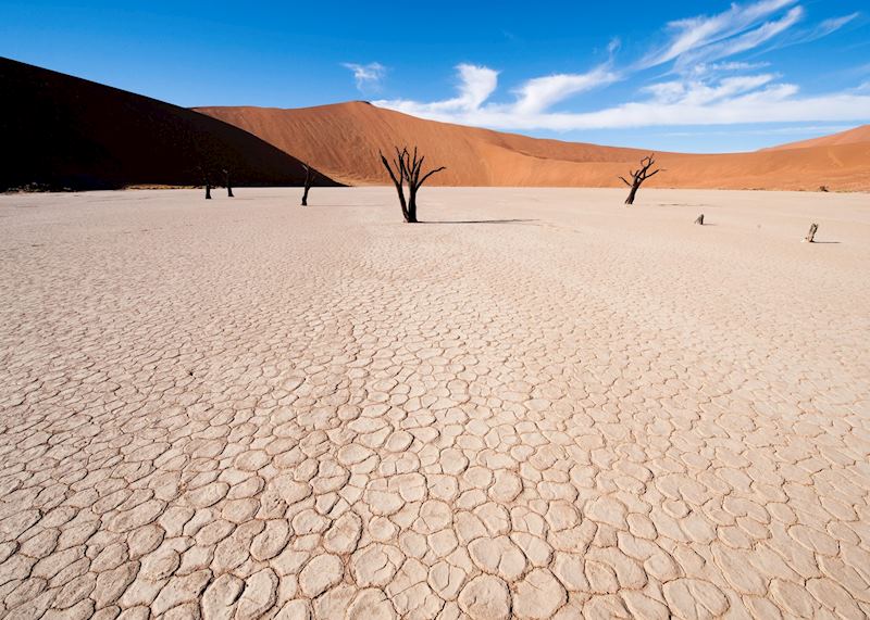 Dead vlei pan at Sossusvlei, Namibia