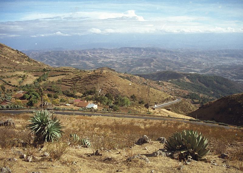 Scenery around Todos Santos
