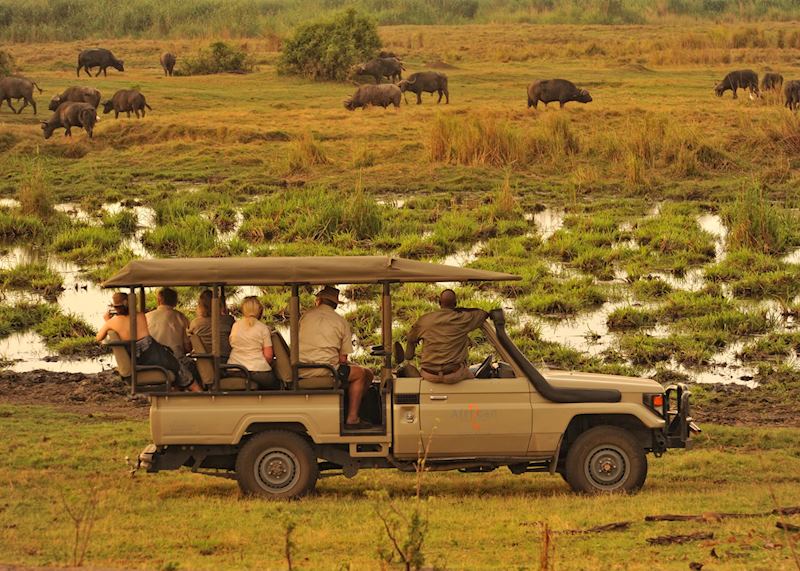 Game drive from Linyanti Bush Camp,Linyanti Wetlands