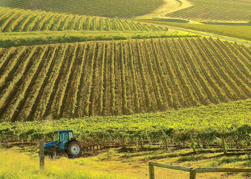 The Hunter Valley, New South Wales