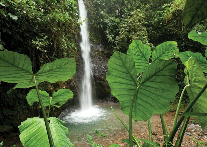 Trails, Mashpi Lodge