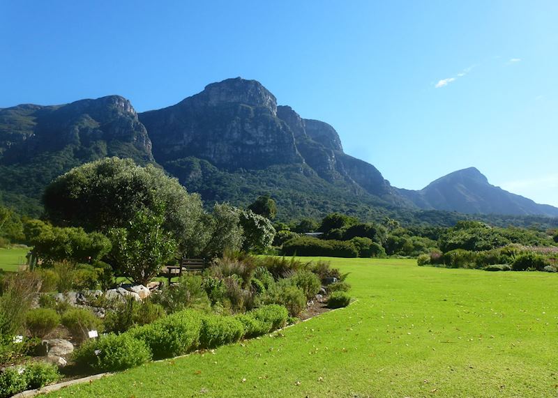 Self-drive to Kirstenbosch National Botanical Gardens,Cape Town