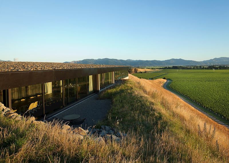 Brancott Estate, Blenheim and the Winelands, New Zealand