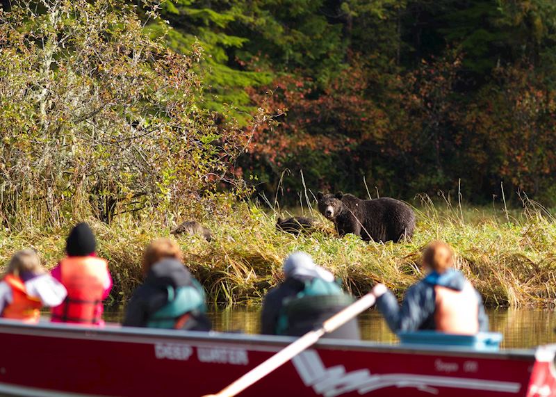 Viewing bears by boat, Great Bear Lodge
