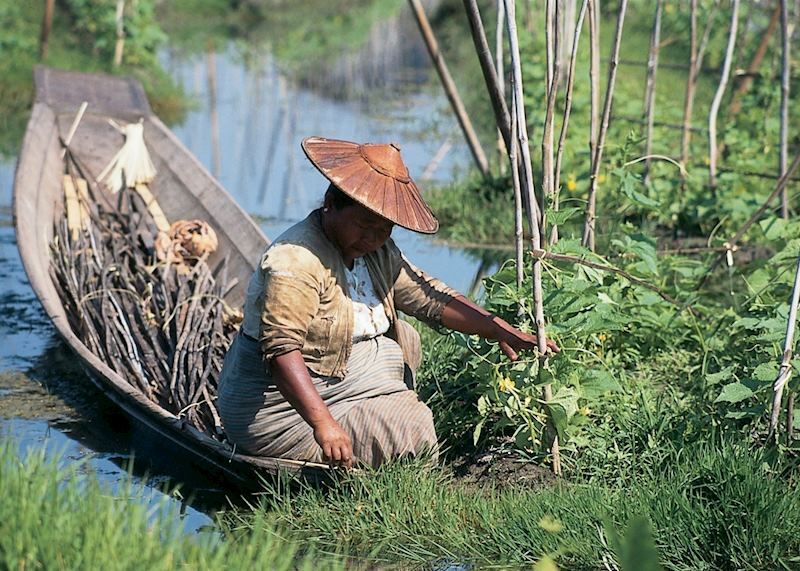 A Burmese woman tending her crops, Inle Lake, Burma (Myanmar)