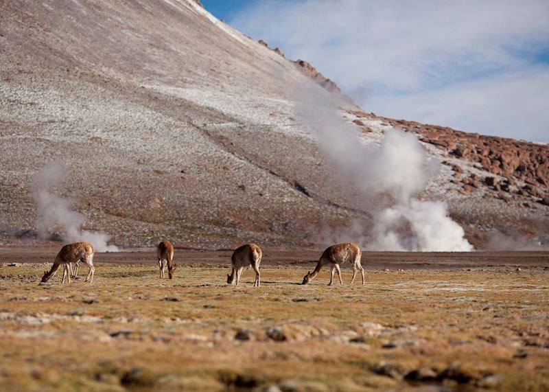 Atacama Desert excursions from Alto Atacama, San Pedro de Atacama
