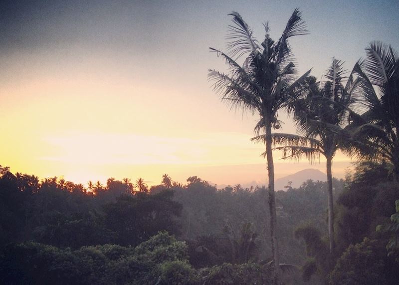 Sunset just outside Ubud, Bali