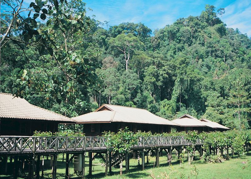 Jungle view chalets, Borneo Rainforest Lodge, Danum Valley