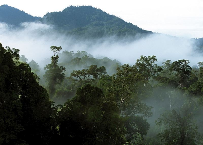 Dawn at Gunung Api, Mulu National Park, Sarawak