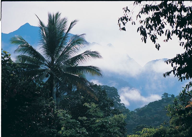 Morning mist rising in Mulu National Park, Sarawak