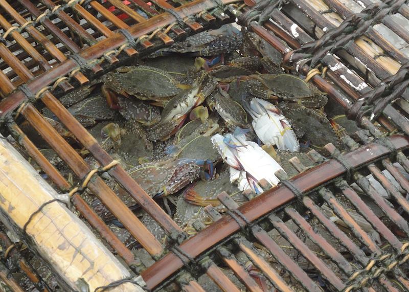 Crab basket, Kep Seafood market, Kep