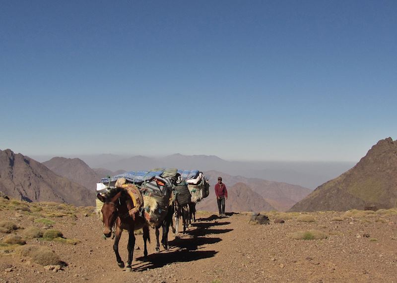 High Atlas mountains, Tacheddirt Pass