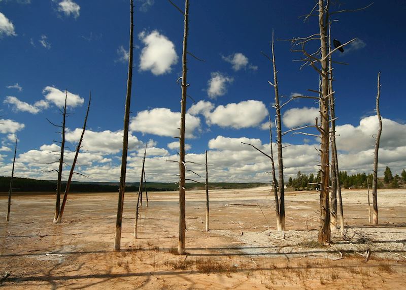 Lower Geyser Basin, Yellowstone National Park