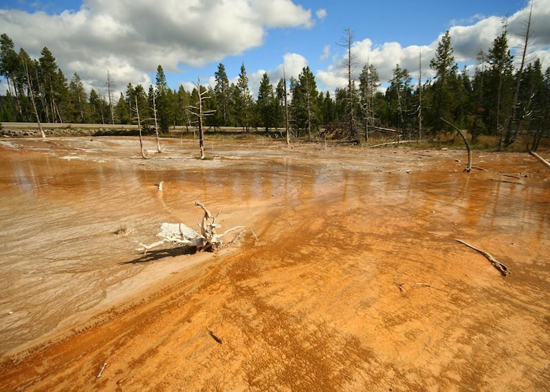 Lower Geyser Basin, Yellowstone National Park