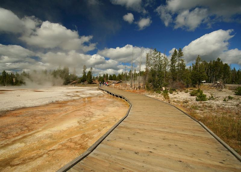Lower Geyser Basin, Yellowstone National Park