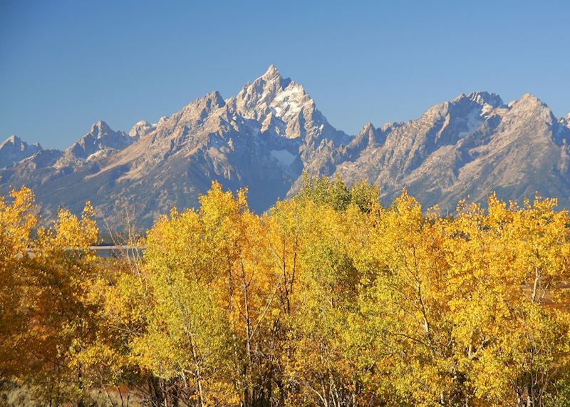 Grand Teton National Park