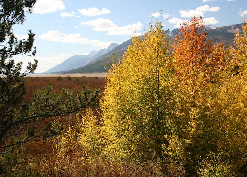 Antelope Flats, Grand Teton National Park