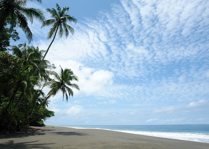 Beach, El Remanso Rainforest Wildlife Lodge
