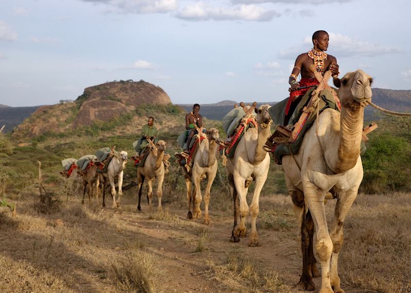Camel Trekking, Ol Malo Ranch