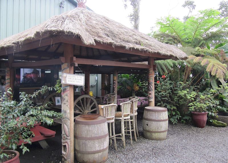 Coffee Plantation in Kona, Hawaii (Big Island)