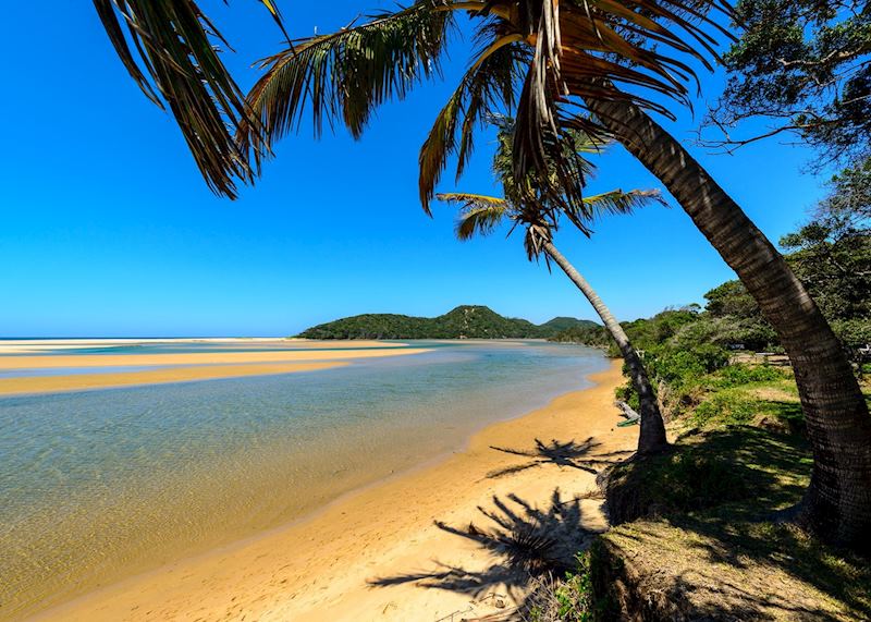 The Elephant Coast, South Africa